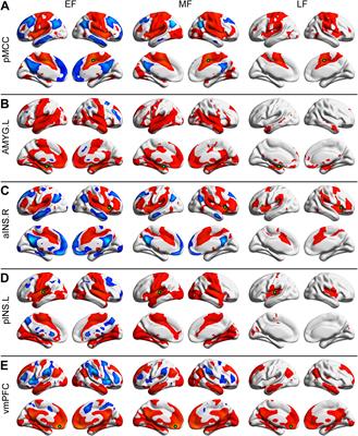 Gender- and Age-Specific Differences in Resting-State Functional Connectivity of the Central Autonomic Network in Adulthood